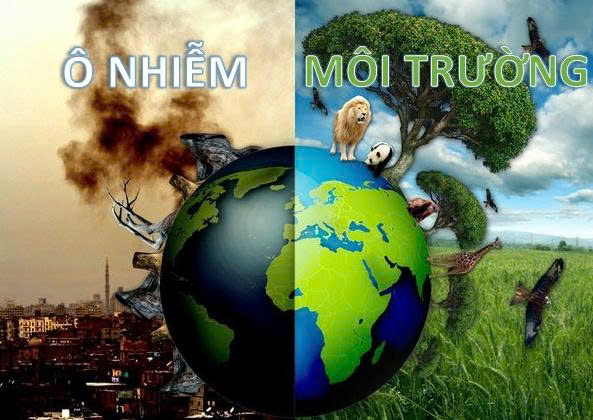 TRIỂN KHAI KẾ HOẠCH KIỂM TRA CÁC CƠ SỞ CÓ NGUY CƠ GÂY Ô NHIỄM MÔI TRƯỜNG NĂM 2026