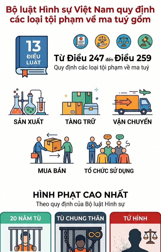 BỘ LUẬT HÌNH SỰ VIỆT NAM QUY ĐỊNH CÁC LOẠI TỘI PHẠM VỀ MA TÚY